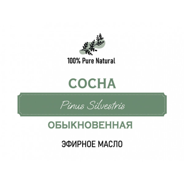 Эфирное масло Сосна обыкновенная, 5мл